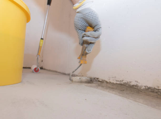 Best Fumigation Services  in Kealakekua, HI